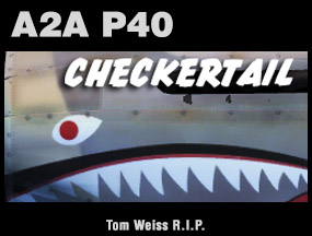 A2A P40C Checkertail Clan – Tom Weiss